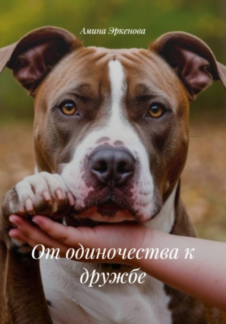 От одиночества к дружбе