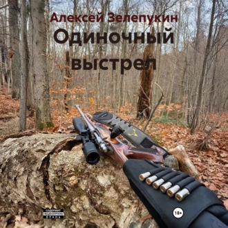 Одиночный выстрел