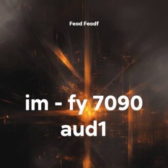 im – fy 7090 aud1