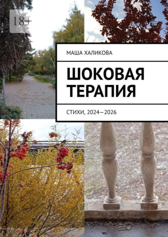 Шоковая терапия. Стихи, 2024—2026