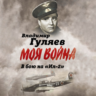 В бой на «Ил-2». Нас называли «черной смертью»