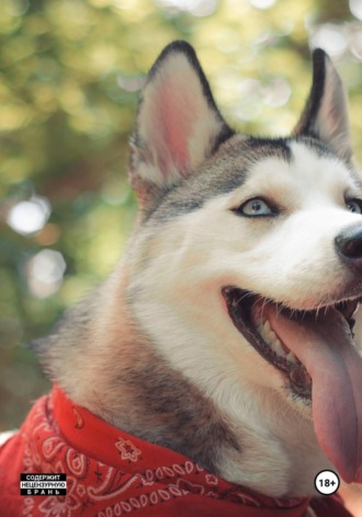 im - cl 8255 bk postmod