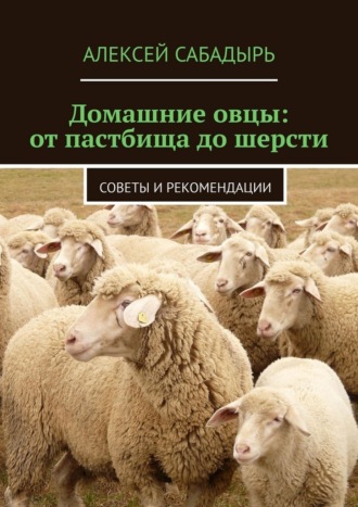 Домашние овцы: от пастбища до шерсти. Советы и рекомендации