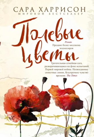 Полевые цветы