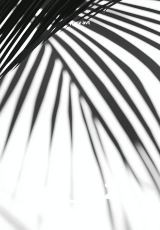 ak_ve2