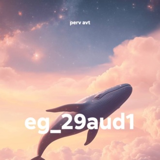 eg_29aud1