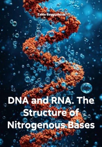 DNA and RNA. The Structure of Nitrogenous Bases