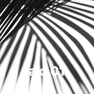 ak_01