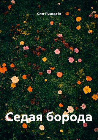 Седая борода