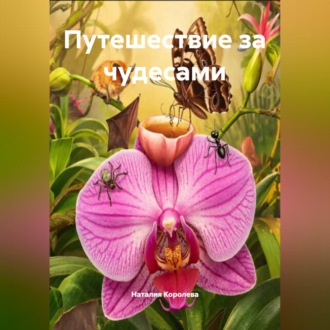 Путешествие за чудесами