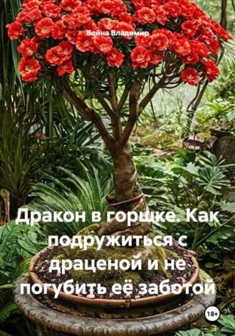 Дракон в горшке. Как подружиться с драценой и не погубить её заботой