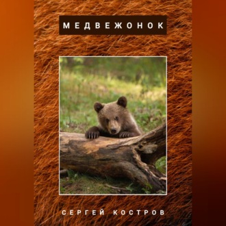 Медвежонок