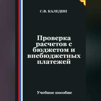Проверка расчетов с бюджетом и внебюджетных платежей