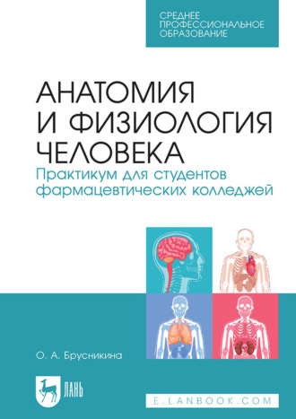Анатомия и физиология человека. Практикум для студентов фармацевтических колледжей. Учебное пособие для СПО. 4-е издание, стереотипное