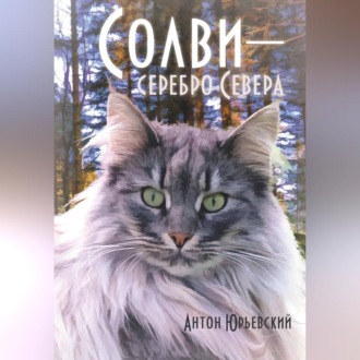 Солви - серебро Севера