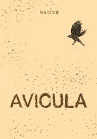 Avicula