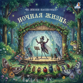 Ночная жизнь. Из жизни насекомых