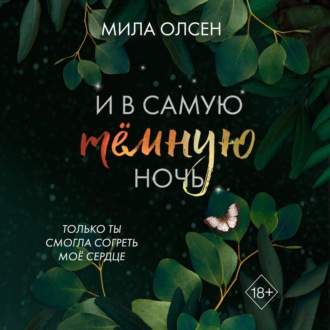 Под северными небесами. И в самую темную ночь