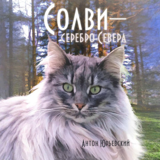 Солви – серебро Севера