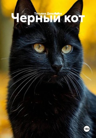 Черный кот