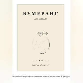 Бумеранг