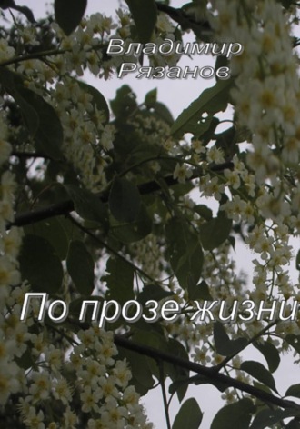 По прозе жизни