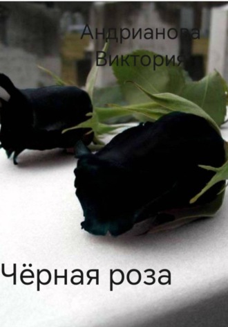 Чёрная роза. Глава 1.