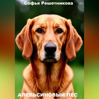 Апельсиновый пёс