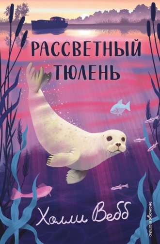 Рассветный тюлень