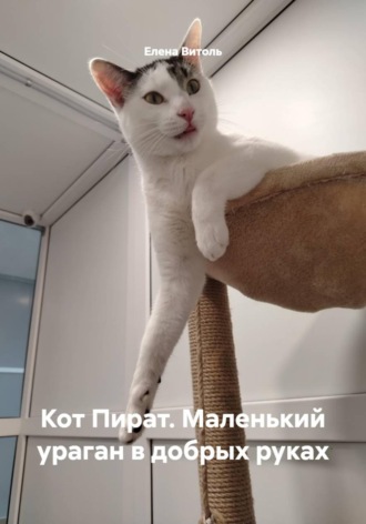 Кот Пират. Маленький ураган в добрых руках