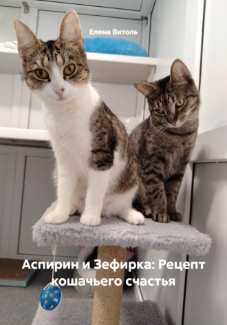 Аспирин и Зефирка: Рецепт кошачьего счастья