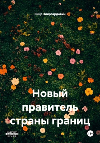 Новый правитель страны границ