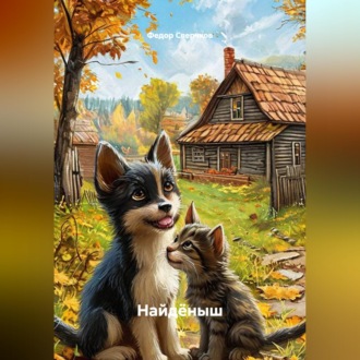Найдёныш