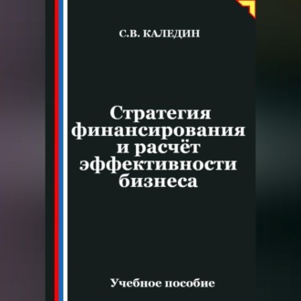Стратегия финансирования и расчёт эффективности бизнеса