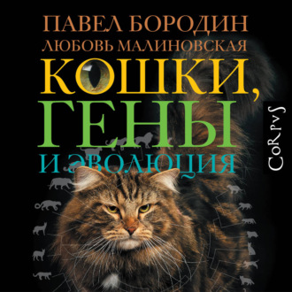 Кошки, гены и эволюция
