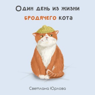 Один день из жизни бродячего кота