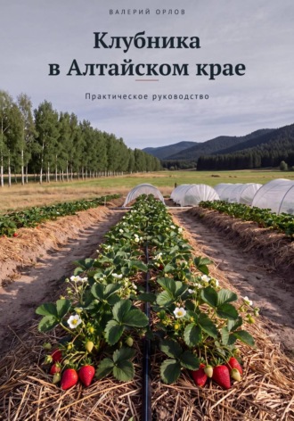 Клубника в Алтайском крае. Практическое руководство