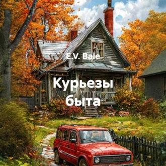 Курьезы быта