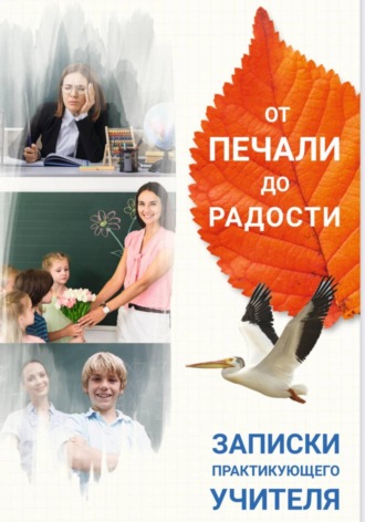 Елена Костырева От печали до радости. Записки практикующего учителя
