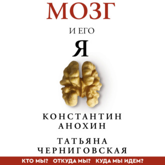 Мозг и его «Я». Кто мы? Откуда мы? Куда мы идем?