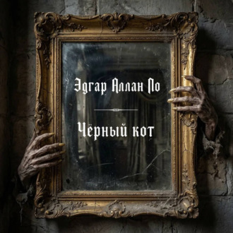 Черный кот