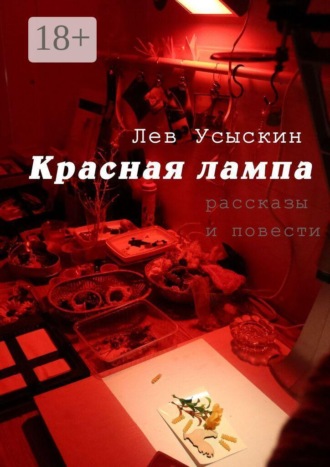 Красная лампа. рассказы и повести