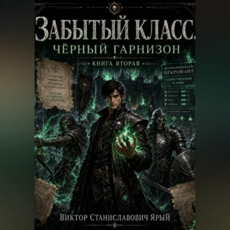 Забытый класс. Чёрный гарнизон