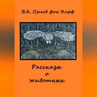 Рассказы о животных