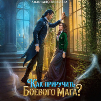Как приручить боевого мага?