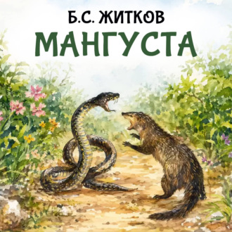 Мангуста