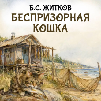 Беспризорная кошка