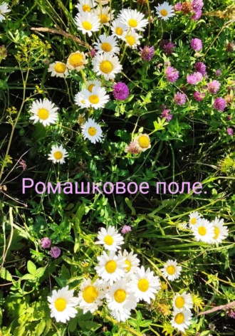 Ромашковое поле.