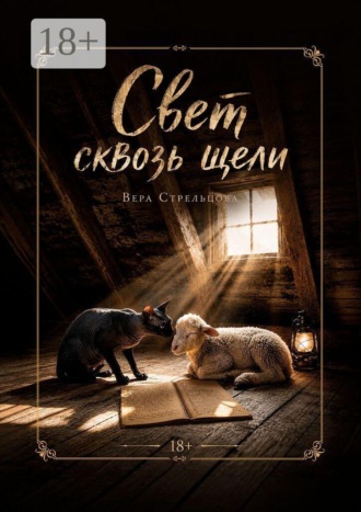 Свет сквозь щели
