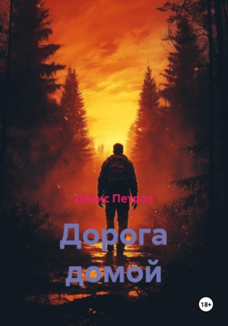 Дорога домой